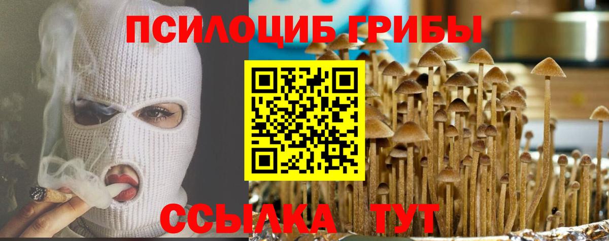 Псилоцибиновые грибы мухоморы Кызыл